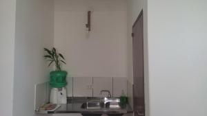 a kitchen with a sink and a potted plant at El Arbol in Eldorado