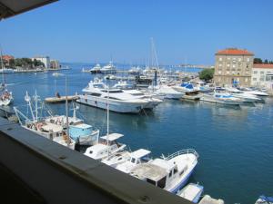 grupa łodzi zacumowanych w porcie w obiekcie Apartment ML w mieście Zadar