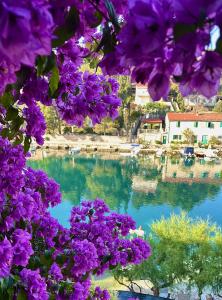 Gallery image of Amare Apartments in Bobovišća
