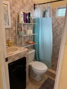 a bathroom with a toilet and a shower and a sink at Poptún, Peten home accommodation in Ixobel