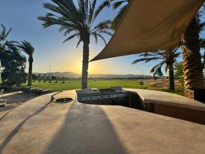 a skateboard park with palm trees in the background at Ayla Aqaba Azure 2 bedroom in Aqaba