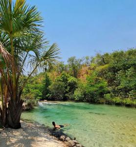 a person swimming in a river with a palm tree at Pousada em Aurora do Tocantins in Manhã +2 photos