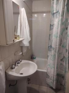 a bathroom with a sink and a shower curtain at Vista sur in Buenos Aires