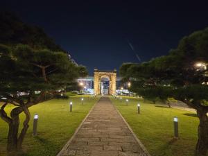 명동 광화문 광장시장 종로 DDP 남산 야외 정원