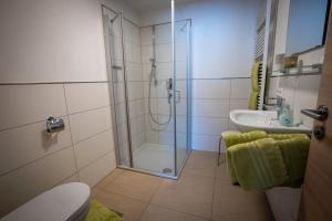 Un baño con ducha, inodoro y lavabo. en Ferienwohnungen Kaiser, en Höchenschwand 26 fotos más