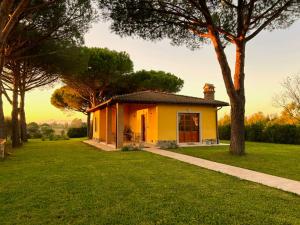 a small yellow house in a field with trees at Private Villa Among Pine Trees And Lavender in Marina di Grosseto