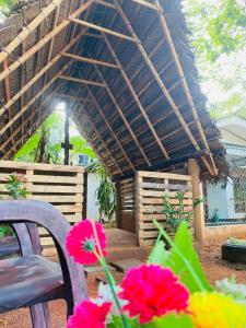 Zahrada ubytování Elephant safari Lodge sigiriya junction