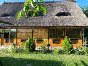 a wooden house with a thatched roof at Casa Flavia in Mahmudia