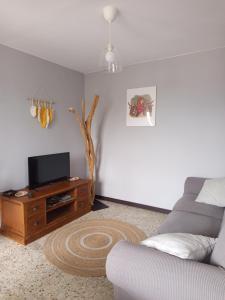 a living room with a couch and a tv at casa carballal in Lorenzana