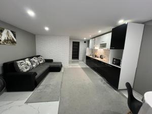 ein Wohnzimmer mit Couch und Küche in der Unterkunft 1-Confortable and ideal Apartament-Квартира посуточно Edinet in Edineţ
