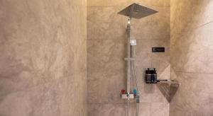 a shower in a bathroom with a glass door at Wuyuan Wunvzhou Wuxiandao Luxury Hotel in Wuyuan