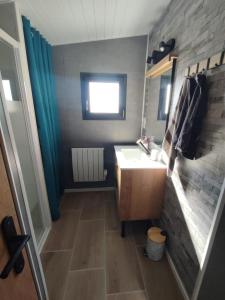 une petite salle de bain avec un lavabo et un miroir dans l'établissement Gîte L'Ermitage des Pré'O, à Neuvy-Grandchamp