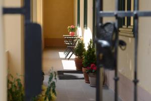 Fotografie z fotogalerie ubytování B&B Castanea v destinaci Kostanjevica na Krki