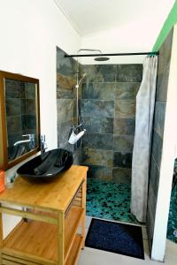 a bathroom with a black sink and a shower at La Maison Verte in Le Tampon