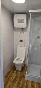 a small bathroom with a toilet and a shower at Domek nad jeziorem Romantyka in Giże