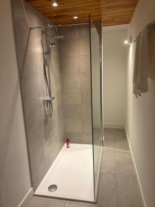 a shower with a glass door in a bathroom at Petite chatelaine in Herbeumont