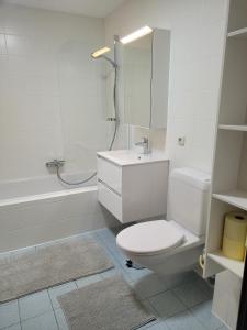 a white bathroom with a toilet and a shower at Apartmenthaus Sonnenschein Top3 in Dornbirn