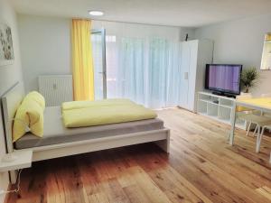 a living room with a bed and a television at Apartmenthaus Sonnenschein Top3 in Dornbirn