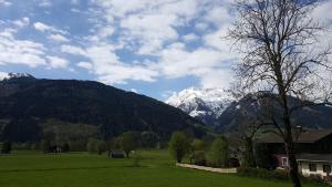 a green field with snow capped mountains in the background at Haus Steger in Stuhlfelden