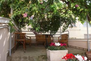 Zahrada ubytování B&B La Bougainvillea