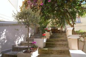 Zahrada ubytování B&B La Bougainvillea