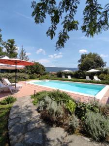 a swimming pool with an umbrella and a table and chairs at Bed&Breakfast Villa Camilla in Ivrea