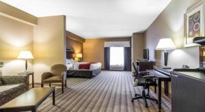 Afbeelding uit fotogalerij van Comfort Suites Smyrna - Nashville Area in La Vergne