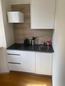 Kuchyň nebo kuchyňský kout v ubytování Hotel des Alpes