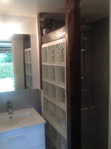 W łazience znajduje się umywalka, prysznic i lustro. w obiekcie L'Ancien Pressoir w mieście Pierrefitte-en-Cinglais