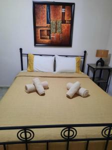 a bed with two pillows on top of it at Golden beach Dikella in Alexandroupoli