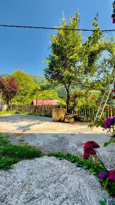 Zahrada ubytování Family Hotel View of Khikhani