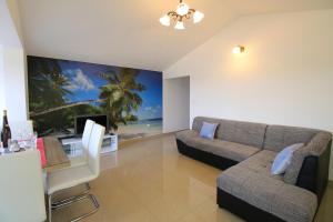 a living room with a couch and a table and a tv at Apartments Lucefinka in Banjole