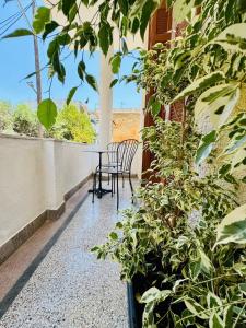 einen Balkon mit Stühlen, einem Tisch und Pflanzen in der Unterkunft Vintage Home Kalamata - Your comfy choice in Kalamata