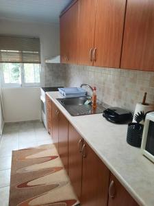 a kitchen with a sink and a counter top at Golden beach Dikella in Alexandroupoli
