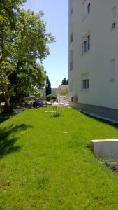 Vonkajšia záhrada v ubytovaní Amaros Apartment