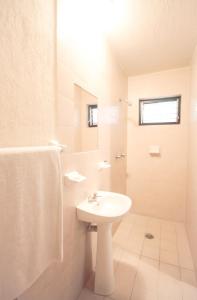 y baño blanco con lavabo y ducha. en Hotel Arboledas Industrial en Guadalajara