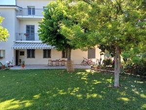 a tree in the yard of a house at La CASA degli IPPOCASTANI in Colonnella +27 photos