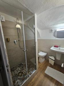 a bathroom with a shower with a toilet and a sink at Auberge Saint Martin in La Brigue