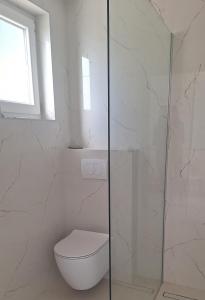 Un baño con inodoro y ducha de cristal. en Smokvica, en Senj