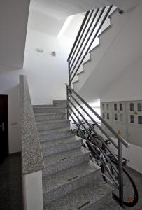 Gallery image of Apartment Ben in Pula