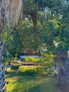 Zahrada ubytování Malvischi Guesthouse - Garden & Pool