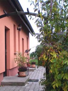a walkway with potted plants on the side of a building at Ferienwohnungen auf dem Lande in Kittendorf