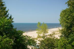 a beach with trees and the ocean in the background at Brennan Beach Lakeview Loft Park Model 6 in Pulaski