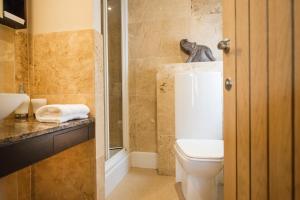 a bathroom with a toilet and a sink and a shower at Chester Apartments in Chester