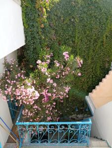 a bunch of pink flowers in a blue planter at Dar Warda in Bizerte