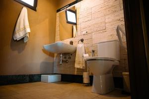 a bathroom with a toilet and a sink at Finca Los Pajaros cerca de Puy du fou Toledo in Navahermosa +30 photos