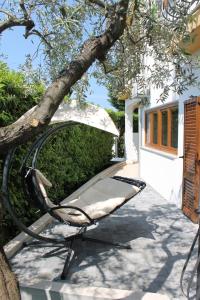 un banc assis sous un arbre à côté d'un bâtiment dans l'établissement Apartments Villa Tre Marie, à Rovinj