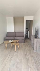 ein Wohnzimmer mit einer Couch und einem Couchtisch in der Unterkunft Appartement avec jaccuzzi privatif en RDC proche via rhona in Charmes-sur-Rhône