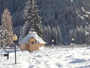 Hotel Stella Alpina during the winter