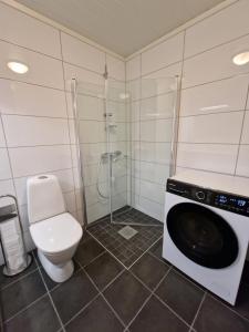 a bathroom with a toilet and a washing machine at Apartment in Voss - Tråstølen in Skulestadmo +20 photos